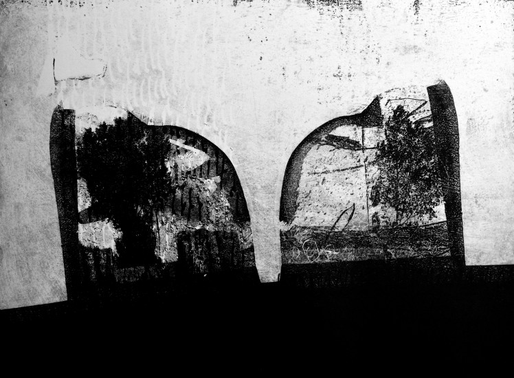 4. Adam Czech - Sum of branches of Ejrezjone